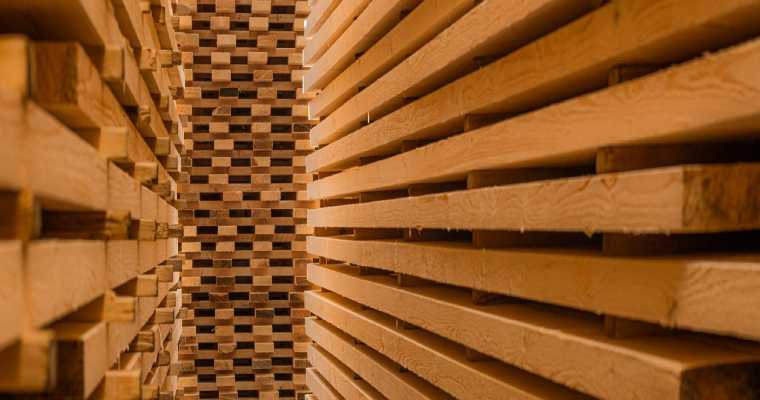 Finland’s timber trade soars 18% in 2024, reaching 48.8 million m³