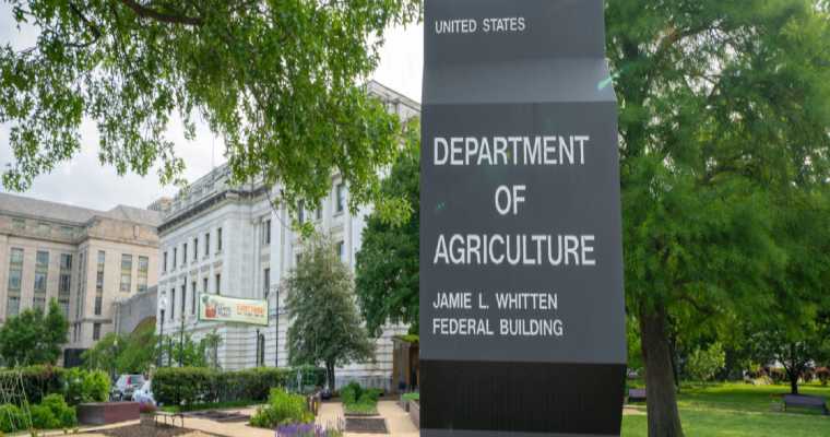 USDA opens 113 million acres for emergency logging to raise timber output