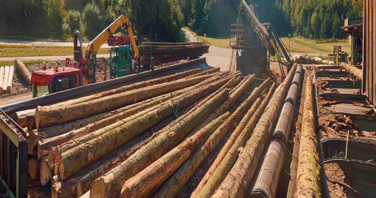 Log and lumber prices rose again in Austria as uptrend persists