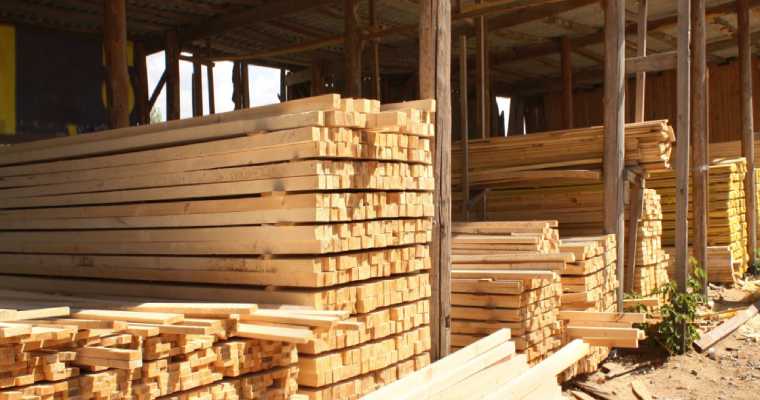 Canada’s lumber market hit by 11% price drop in April, steepest since 2022