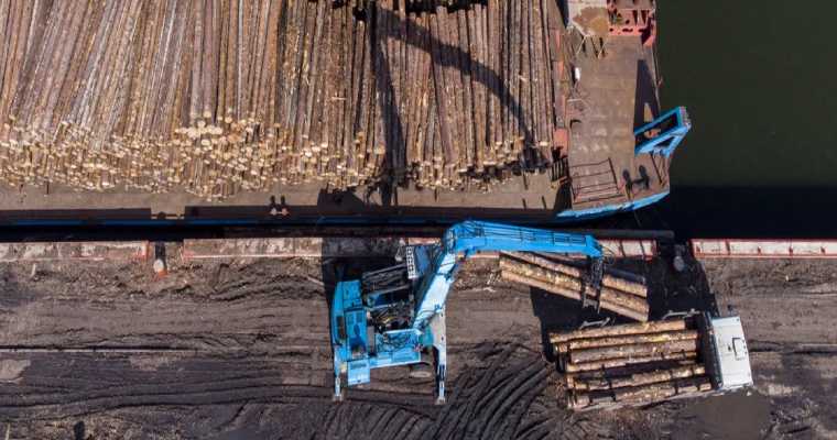 Russia becomes Japan’s top lumber supplier amid global sanctions