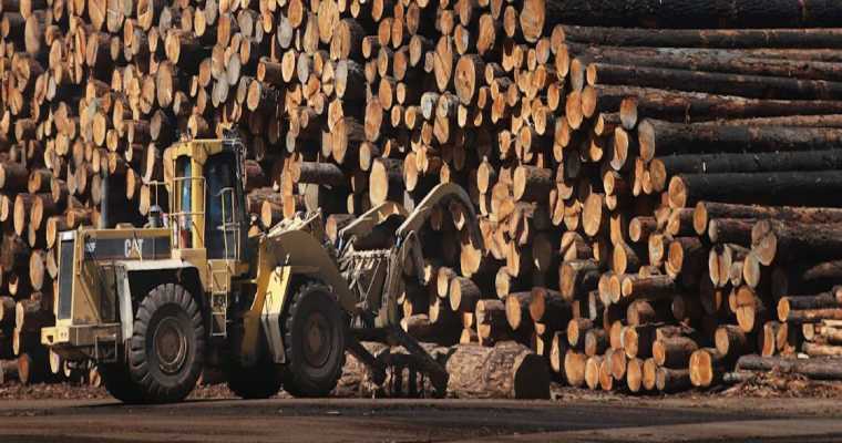 USDA commits $200M to boost domestic timber production