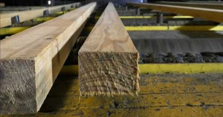 Russia boosts sawn timber exports to Japan despite expanding sanctions