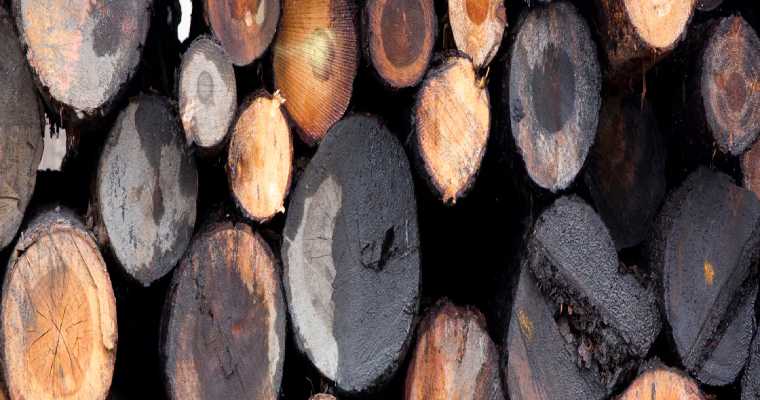 Oregon’s Pilot Rock sawmill to close permanently amid market pressures