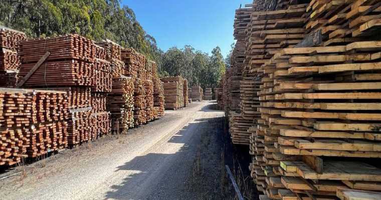 Australia unveils national timber fiber strategy to boost industry growth