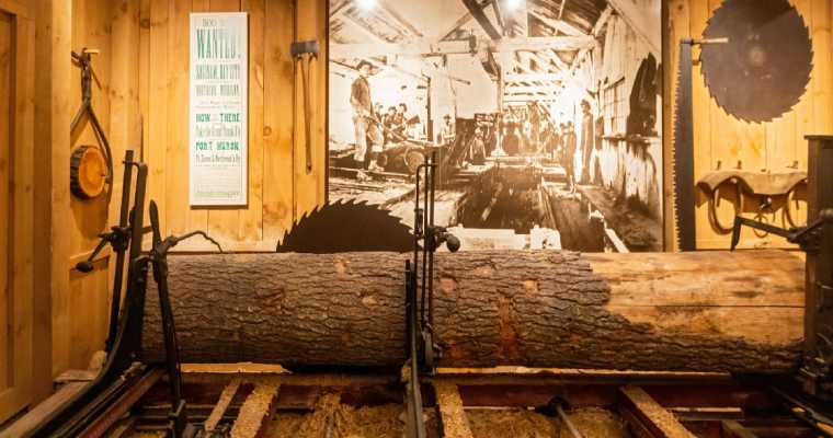 Michigan sawmill closures wipe out 1,100 jobs, $211M in output since 2019