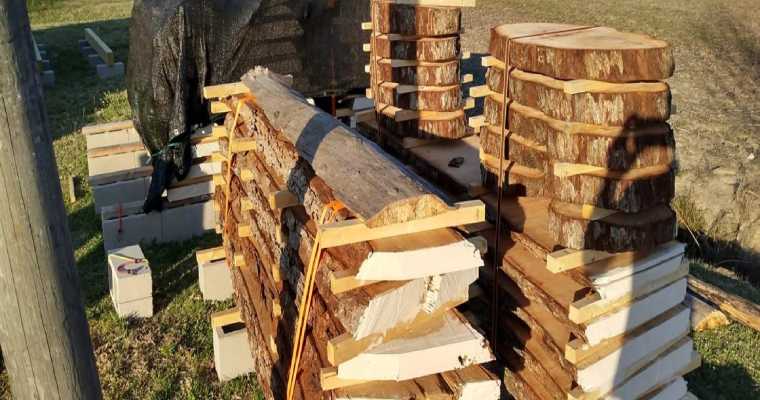 Hurricanes push timber prices lower across the Southeastern U.S.